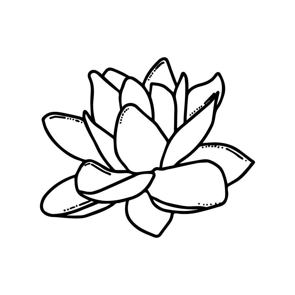 Caspian lotus nelumbo caspica flower vector in PNG and SVG files transparent no background