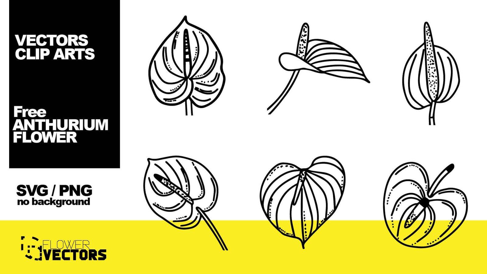 Anthurium vector clip art flower SVG and PNG files free