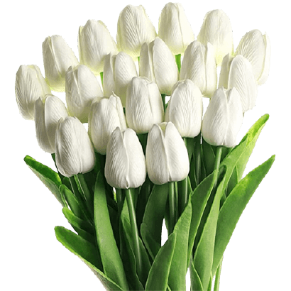 Big white tulip bouquet in PNG transparent