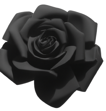 Black rose flower images in PNG, transparent, no background.