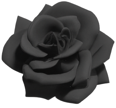 Black rose minimalistic PNG no background