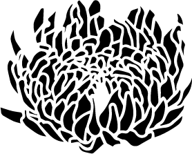 Chrysanthemum simple vector PNG and SVG transparent