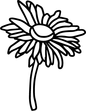 Daisy vector clip art transparent PNG and SVG file