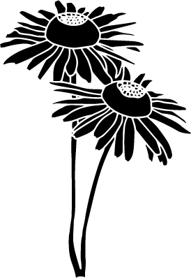 Daisy vector simple black white clip art in PNG and SVG