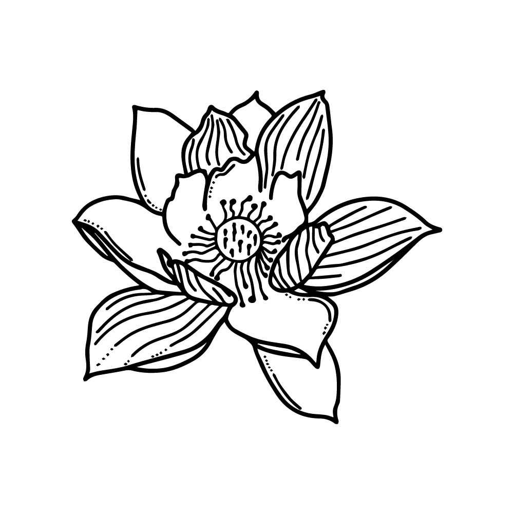 Gui Li lotus flower vector PNG and SVG clipart transparent no background