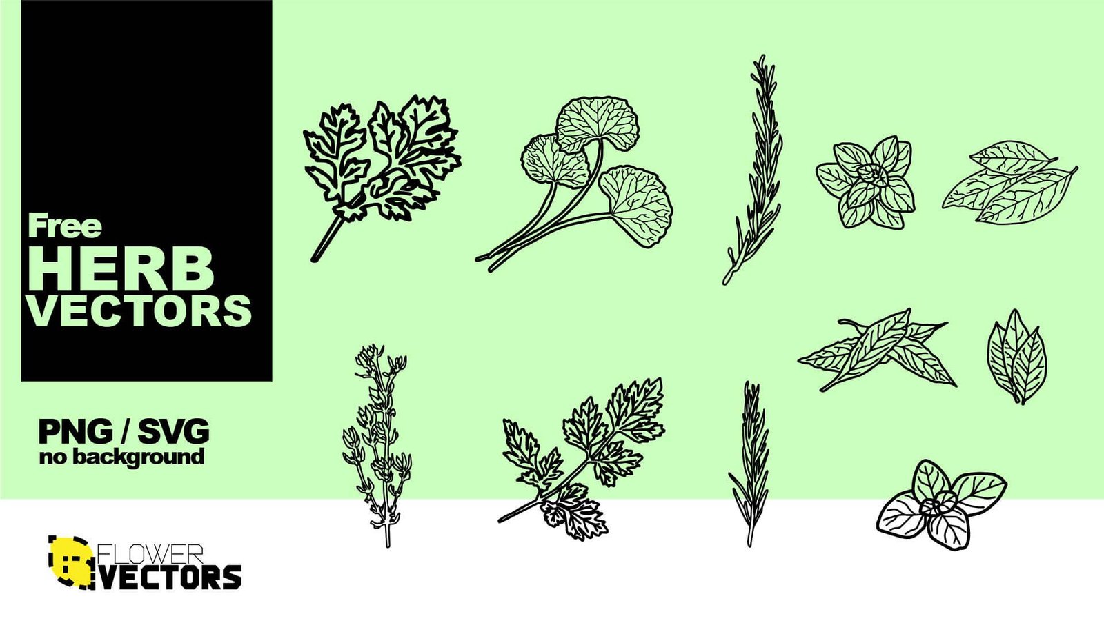 Herb vector set clip art in PNG and SVG transparent no background