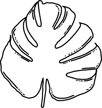 Minimalistic monstera leaf vector PNG transparent