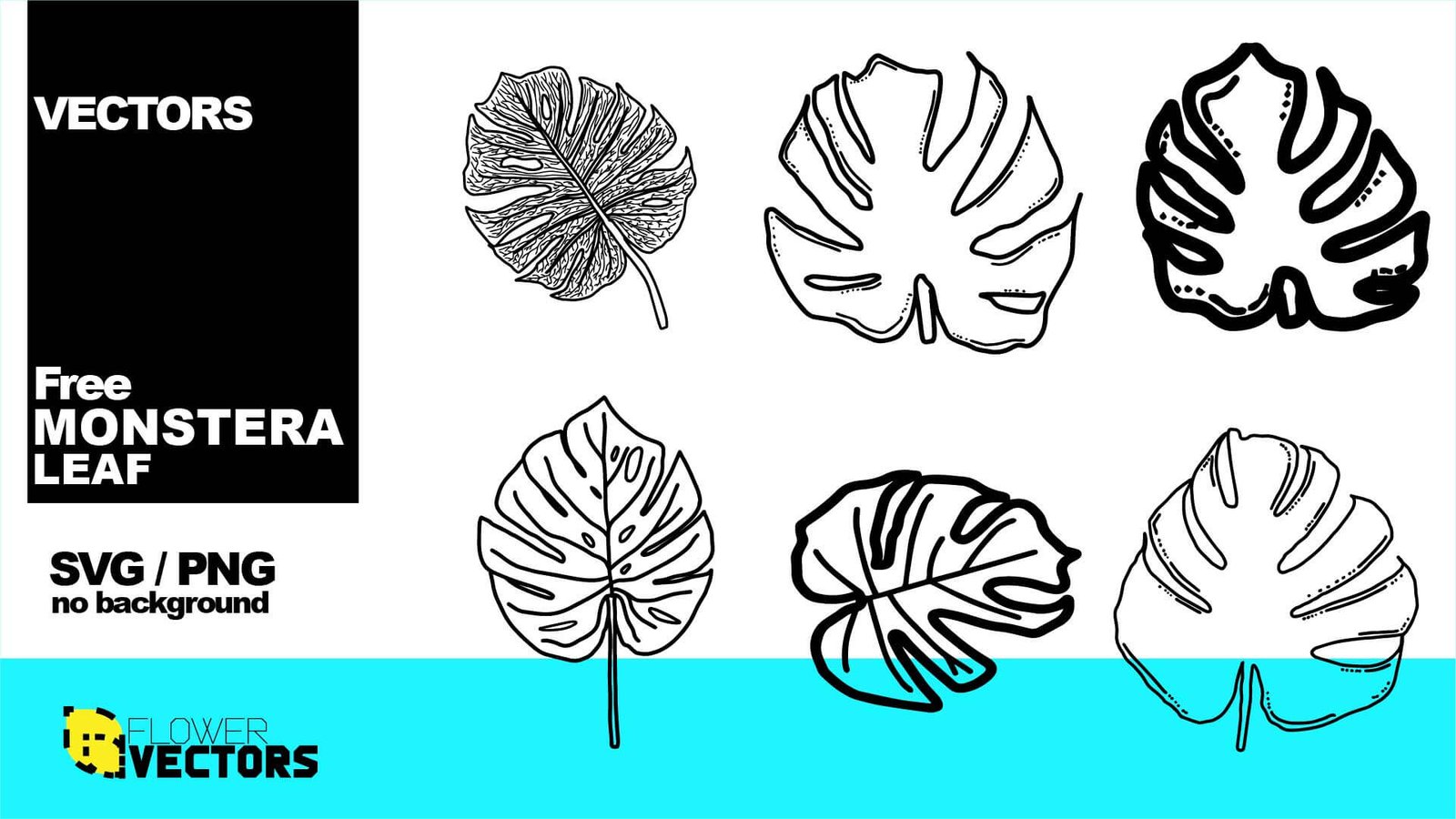 Monstera leaf vector clip art PNG and SVG transparent no background