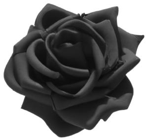 Black rose flower images in PNG, transparent, no background.