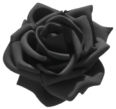 Black rose flower images in PNG, transparent, no background.