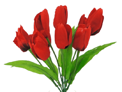 Red tulip bouquet flower PNG