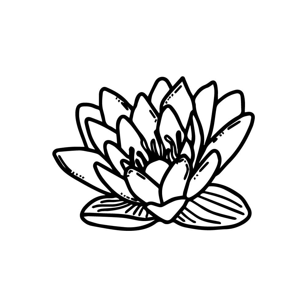 Sacred lotus nelumbo nucifera flower vector clip art transparent black and white PNG and SVG files