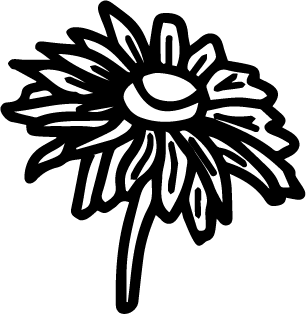 Simple daisy vector PNG and SVG transparent no background