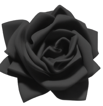 Traditional black rose PNG transparent no background