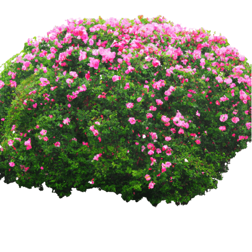 Transparent azalea bush flower in PNG 