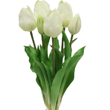 White tulip bouquet PNG